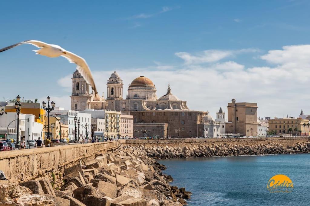 Estrella Del Mar- Free Parking By Livework Apartment Cadiz